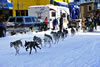 Fur Rondy Dog Sled Race 022909.01.1024