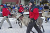 Running Of The Reindeer 022909.02.1024