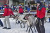 Running Of The Reindeer 022909.03.1024