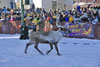 Running Of The Reindeer 022909.15.1024
